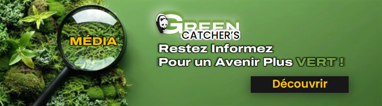 Média Vert by Green Catchers